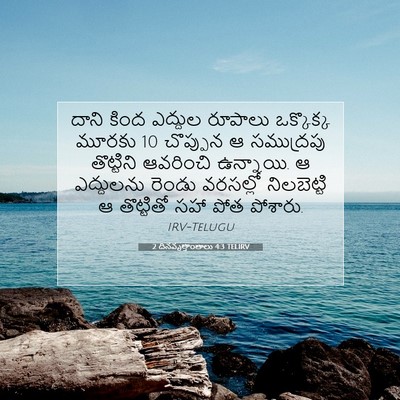 Picture 07 - 2 దినవృత్తాంతాలు 4:3 TELIRV - దాని కింద ఎద్దుల - Bible Verse Picture