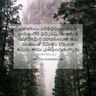 Picture 07 - 2 దినవృత్తాంతాలు 5:11 TELIRV - యాజకులు - Bible Verse Picture