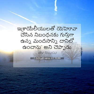 Picture 07 - 2 దినవృత్తాంతాలు 6:11 TELIRV - ఇశ్రాయేలీయులతో - Bible Verse Picture