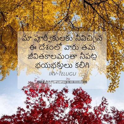 Picture 07 - 2 దినవృత్తాంతాలు 6:30 TELIRV - మా పూర్వీకులకు - Bible Verse Picture