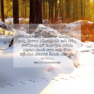 Picture 07 - 2 దినవృత్తాంతాలు 8:11 TELIRV - “ఇశ్రాయేలీయుల - Bible Verse Picture