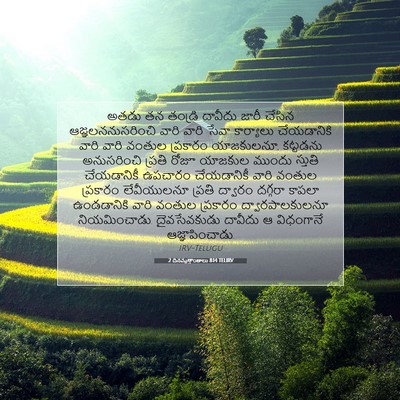 Picture 07 - 2 దినవృత్తాంతాలు 8:14 TELIRV - అతడు తన తండ్రి - Bible Verse Picture