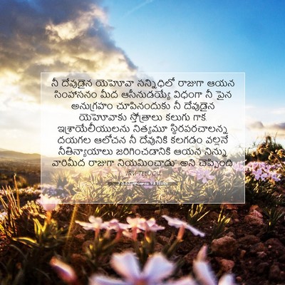 Picture 07 - 2 దినవృత్తాంతాలు 9:8 TELIRV - నీ దేవుడైన యెహోవా - Bible Verse Picture