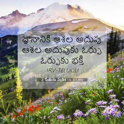 Picture 07 - 2 పేతురు పత్రిక 1:6 TELIRV - జ్ఞానానికి ఆశల - Bible Verse Picture