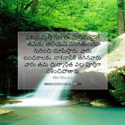 Picture 07 - 2 పేతురు పత్రిక 2:12 TELIRV - పశుప్రవృత్తి గల ఈ - Bible Verse Picture