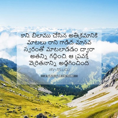 Picture 07 - 2 పేతురు పత్రిక 2:16 TELIRV - కాని, బిలాము చేసిన - Bible Verse Picture