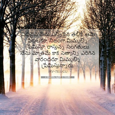 Picture 07 - 2 యోహాను పత్రిక 1:1 TELIRV - పెద్దనైన నేను - Bible Verse Picture