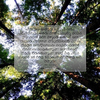 Picture 07 - 2 రాజులు 1:6 TELIRV - వారు ఇలా అన్నారు - Bible Verse Picture
