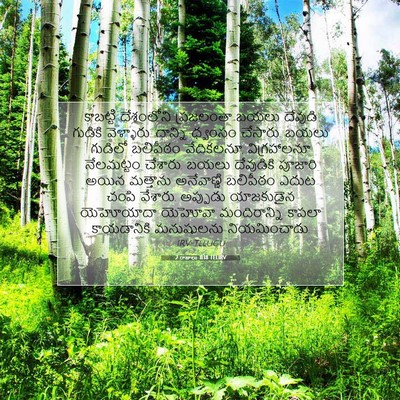 Picture 07 - 2 రాజులు 11:18 TELIRV - కాబట్టి దేశంలోని - Bible Verse Picture