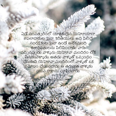 Picture 07 - 2 రాజులు 11:4 TELIRV - ఏడో సంవత్సరంలో - Bible Verse Picture