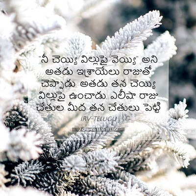 Picture 07 - 2 రాజులు 13:16 TELIRV - “నీ చెయ్యి - Bible Verse Picture