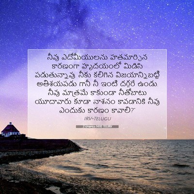 Picture 07 - 2 రాజులు 14:10 TELIRV - నీవు ఎదోమీయులను - Bible Verse Picture
