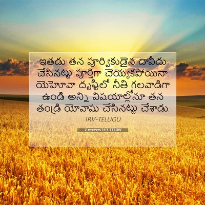 Picture 07 - 2 రాజులు 14:3 TELIRV - ఇతడు తన - Bible Verse Picture
