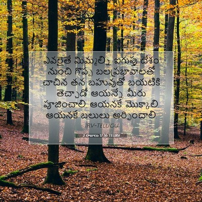 Picture 07 - 2 రాజులు 17:36 TELIRV - ఎవరైతే మిమ్మల్ని - Bible Verse Picture