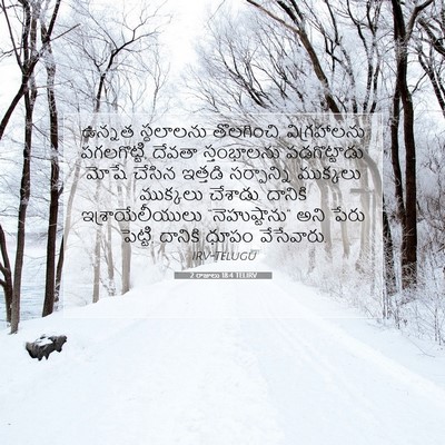 Picture 07 - 2 రాజులు 18:4 TELIRV - ఉన్నత స్థలాలను - Bible Verse Picture