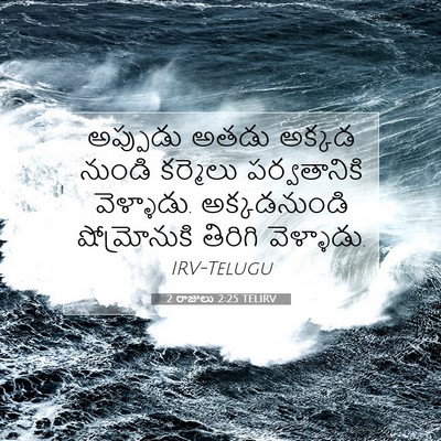 Picture 07 - 2 రాజులు 2:25 TELIRV - అప్పుడు అతడు - Bible Verse Picture