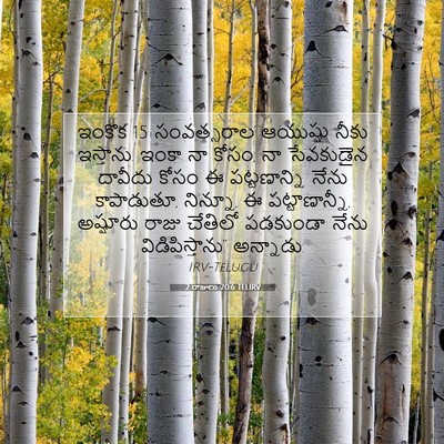 Picture 07 - 2 రాజులు 20:6 TELIRV - ఇంకొక 15 సంవత్సరాల - Bible Verse Picture