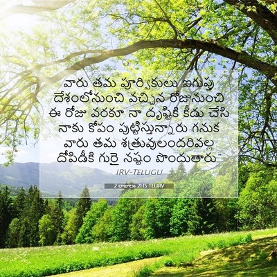 Picture 07 - 2 రాజులు 21:15 TELIRV - వారు తమ - Bible Verse Picture