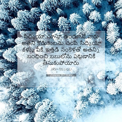 Picture 07 - 2 రాజులు 25:7 TELIRV - సిద్కియా చూస్తూ - Bible Verse Picture
