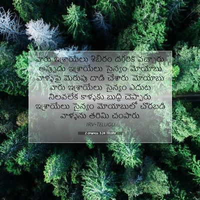 Picture 07 - 2 రాజులు 3:24 TELIRV - వారు ఇశ్రాయేలు - Bible Verse Picture