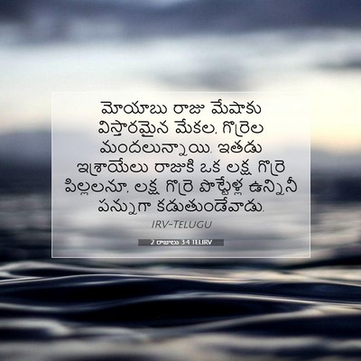 Picture 07 - 2 రాజులు 3:4 TELIRV - మోయాబు రాజు - Bible Verse Picture