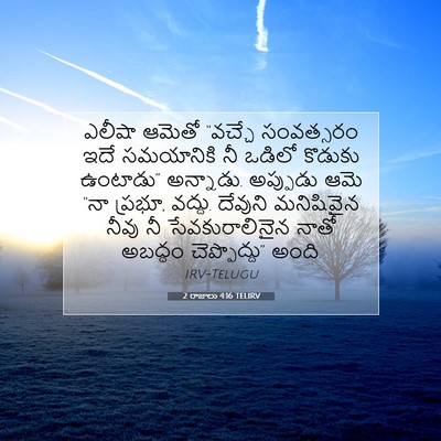 Picture 07 - 2 రాజులు 4:16 TELIRV - ఎలీషా ఆమెతో - Bible Verse Picture