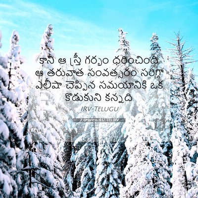 Picture 07 - 2 రాజులు 4:17 TELIRV - కానీ ఆ స్త్రీ - Bible Verse Picture