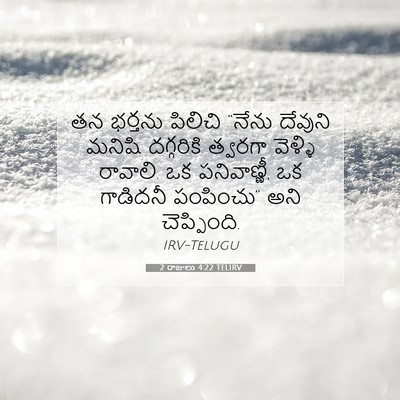 Picture 07 - 2 రాజులు 4:22 TELIRV - తన భర్తను పిలిచి - Bible Verse Picture