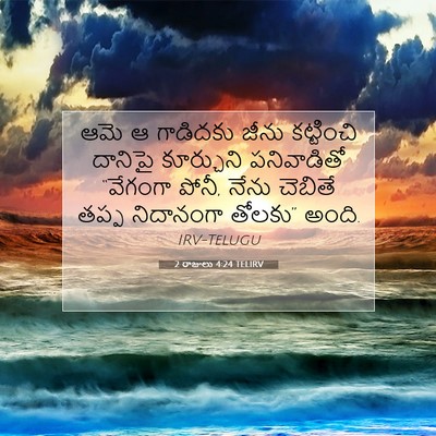 Picture 07 - 2 రాజులు 4:24 TELIRV - ఆమె ఆ గాడిదకు జీను - Bible Verse Picture