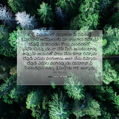 Picture 07 - 2 రాజులు 5:18 TELIRV - ఒక్క విషయంలో - Bible Verse Picture