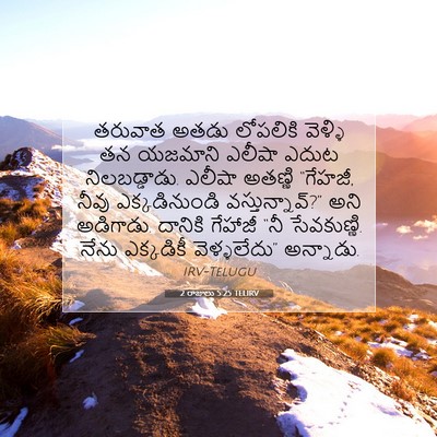 Picture 07 - 2 రాజులు 5:25 TELIRV - తరువాత అతడు - Bible Verse Picture
