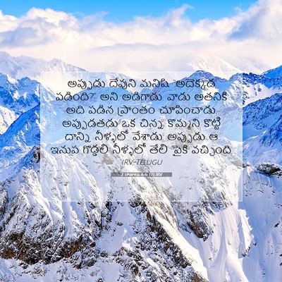 Picture 07 - 2 రాజులు 6:6 TELIRV - అప్పుడు దేవుని - Bible Verse Picture