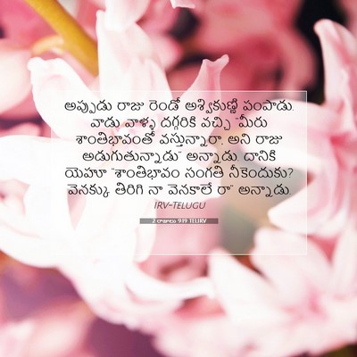 Picture 07 - 2 రాజులు 9:19 TELIRV - అప్పుడు రాజు - Bible Verse Picture