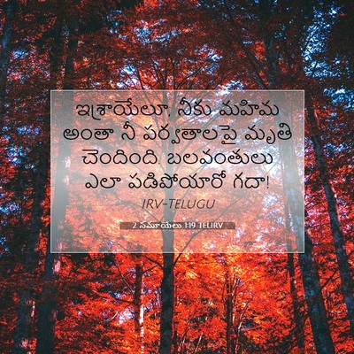 Picture 07 - 2 సమూయేలు 1:19 TELIRV - ఇశ్రాయేలూ, నీకు - Bible Verse Picture