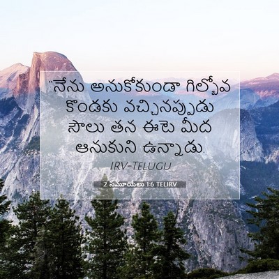 Picture 07 - 2 సమూయేలు 1:6 TELIRV - “నేను అనుకోకుండా - Bible Verse Picture