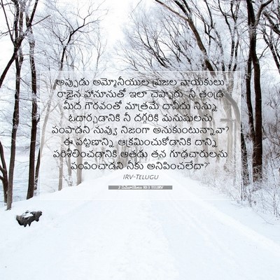 Picture 07 - 2 సమూయేలు 10:3 TELIRV - అప్పుడు - Bible Verse Picture