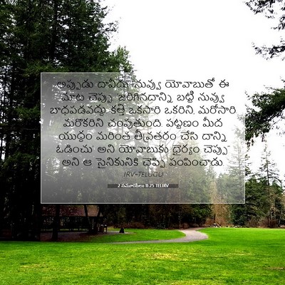 Picture 07 - 2 సమూయేలు 11:25 TELIRV - అప్పుడు దావీదు - Bible Verse Picture