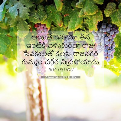 Picture 07 - 2 సమూయేలు 11:9 TELIRV - అయితే ఊరియా తన - Bible Verse Picture