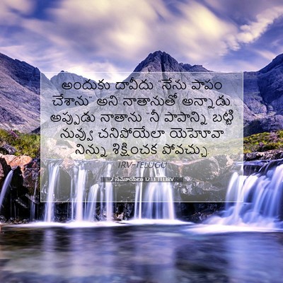 Picture 07 - 2 సమూయేలు 12:13 TELIRV - అందుకు దావీదు - Bible Verse Picture