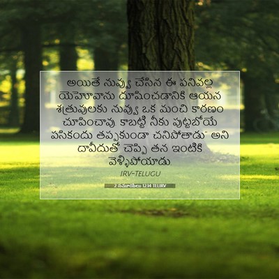Picture 07 - 2 సమూయేలు 12:14 TELIRV - అయితే నువ్వు - Bible Verse Picture