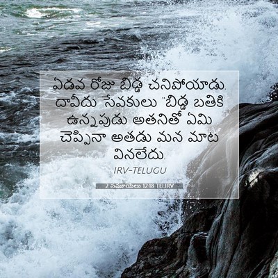 Picture 07 - 2 సమూయేలు 12:18 TELIRV - ఏడవ రోజు బిడ్డ - Bible Verse Picture