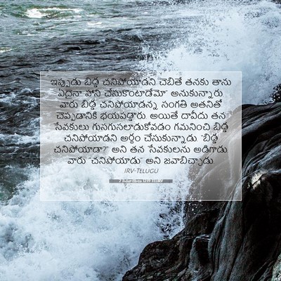 Picture 07 - 2 సమూయేలు 12:19 TELIRV - ఇప్పుడు బిడ్డ - Bible Verse Picture