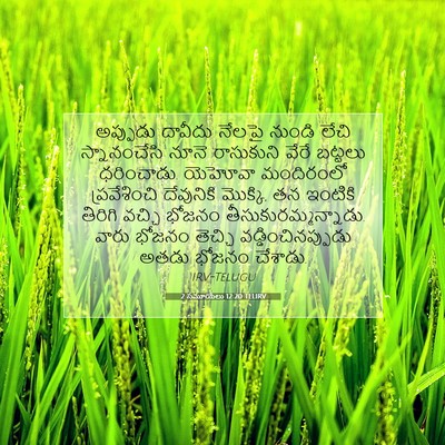 Picture 07 - 2 సమూయేలు 12:20 TELIRV - అప్పుడు దావీదు - Bible Verse Picture