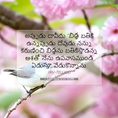 Picture 07 - 2 సమూయేలు 12:22 TELIRV - అప్పుడు దావీదు - Bible Verse Picture