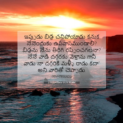 Picture 07 - 2 సమూయేలు 12:23 TELIRV - ఇప్పుడు బిడ్డ - Bible Verse Picture