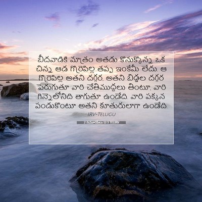 Picture 07 - 2 సమూయేలు 12:3 TELIRV - బీదవాడికి మాత్రం - Bible Verse Picture