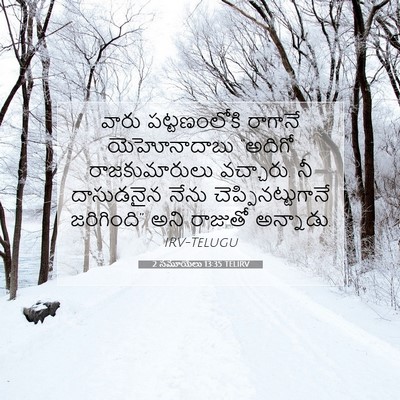 Picture 07 - 2 సమూయేలు 13:35 TELIRV - వారు పట్టణంలోకి - Bible Verse Picture