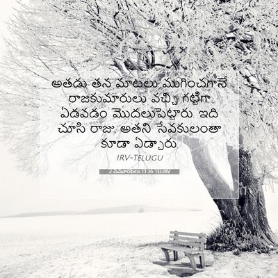 Picture 07 - 2 సమూయేలు 13:36 TELIRV - అతడు తన మాటలు - Bible Verse Picture