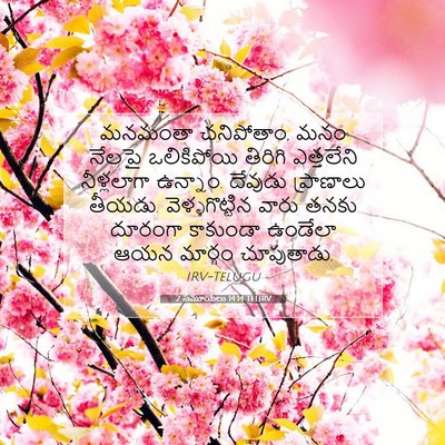 Picture 07 - 2 సమూయేలు 14:14 TELIRV - మనమంతా చనిపోతాం, - Bible Verse Picture