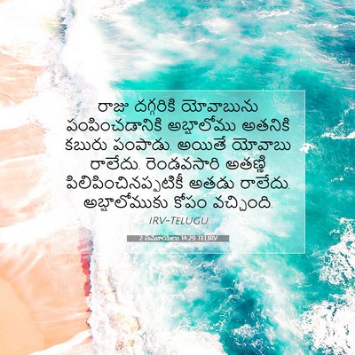 Picture 07 - 2 సమూయేలు 14:29 TELIRV - రాజు దగ్గరికి - Bible Verse Picture